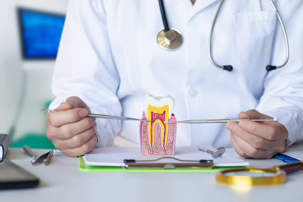 Best Emergency Wisdom Teeth Removal in Broxton, GA